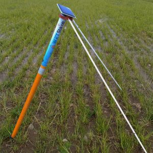 WET Stake Service and Deposit